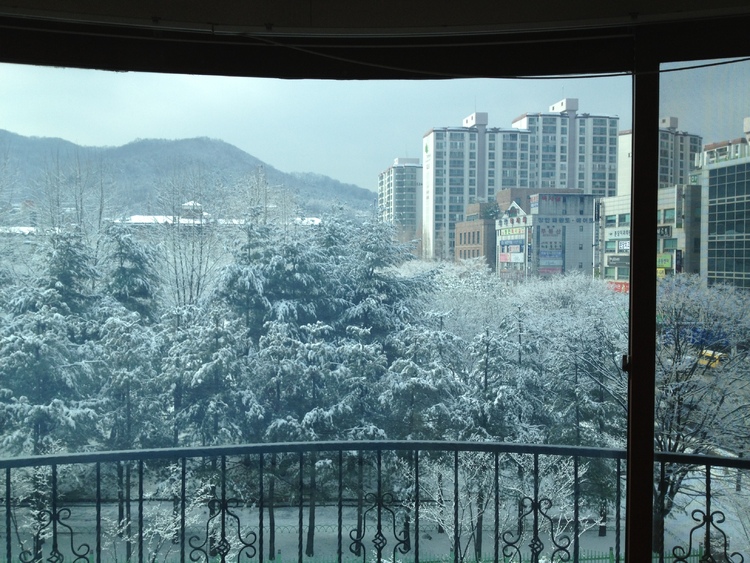 대표사진